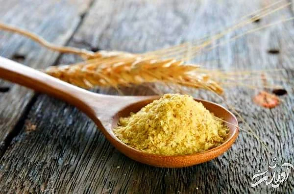 پودر جوانه گندم